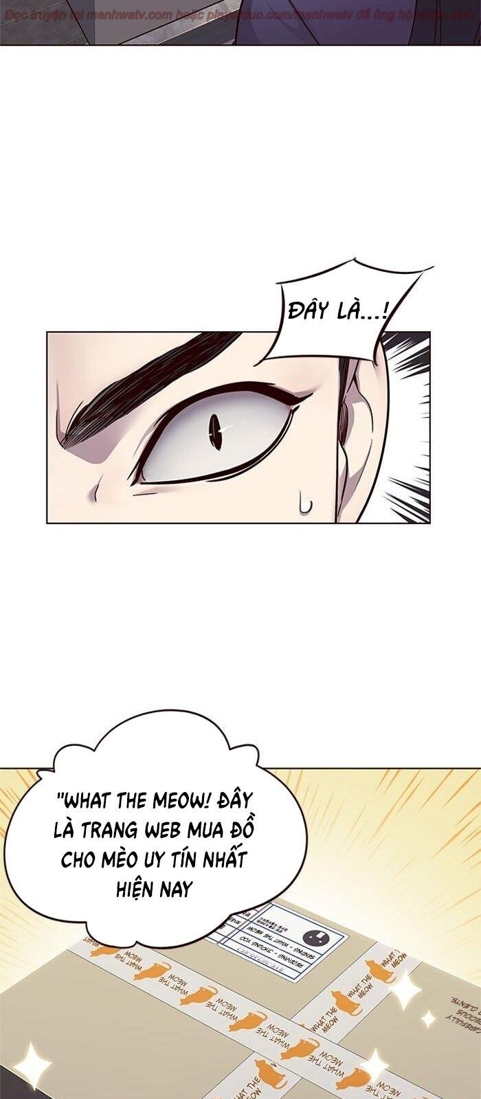 Hóa thân thành mèo chapter 39 - Upload bởi truyensieuhay.com
