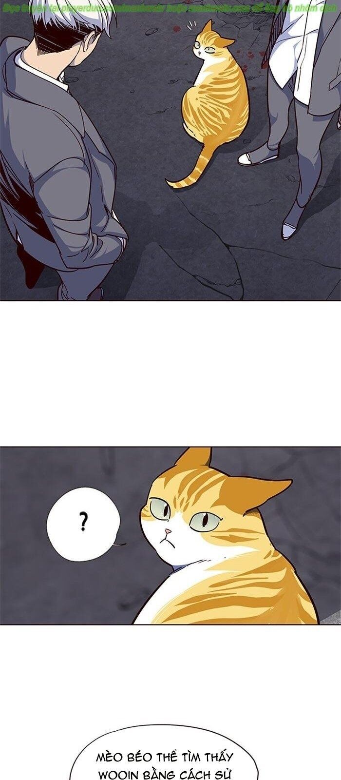 Hóa thân thành mèo chapter 41 - Upload bởi truyensieuhay.com