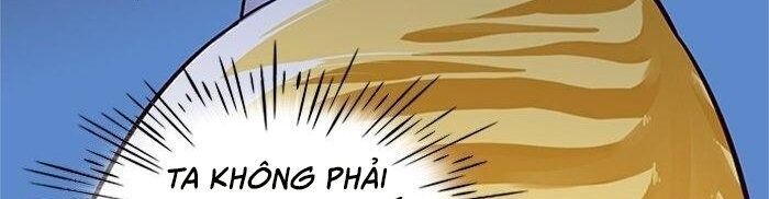 Hóa thân thành mèo chapter 41 - Upload bởi truyensieuhay.com