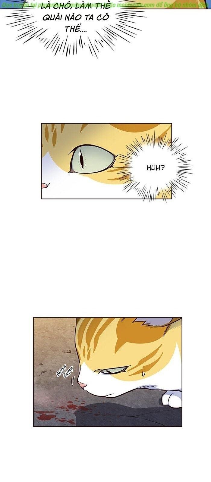 Hóa thân thành mèo chapter 41 - Upload bởi truyensieuhay.com