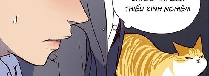 Hóa thân thành mèo chapter 42 - Upload bởi truyensieuhay.com