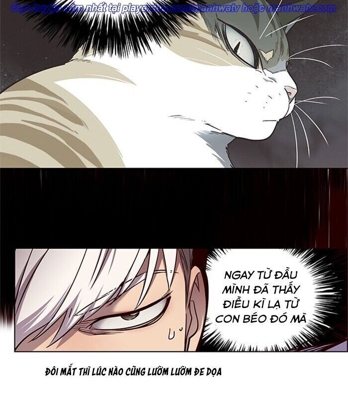 Hóa thân thành mèo chapter 46 - Upload bởi truyensieuhay.com