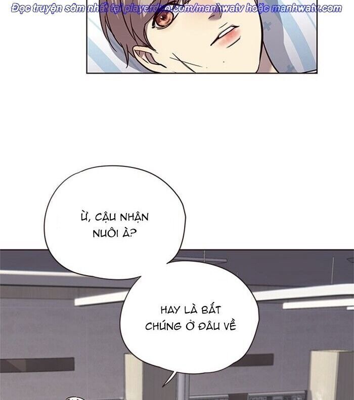 Hóa thân thành mèo chapter 46 - Upload bởi truyensieuhay.com