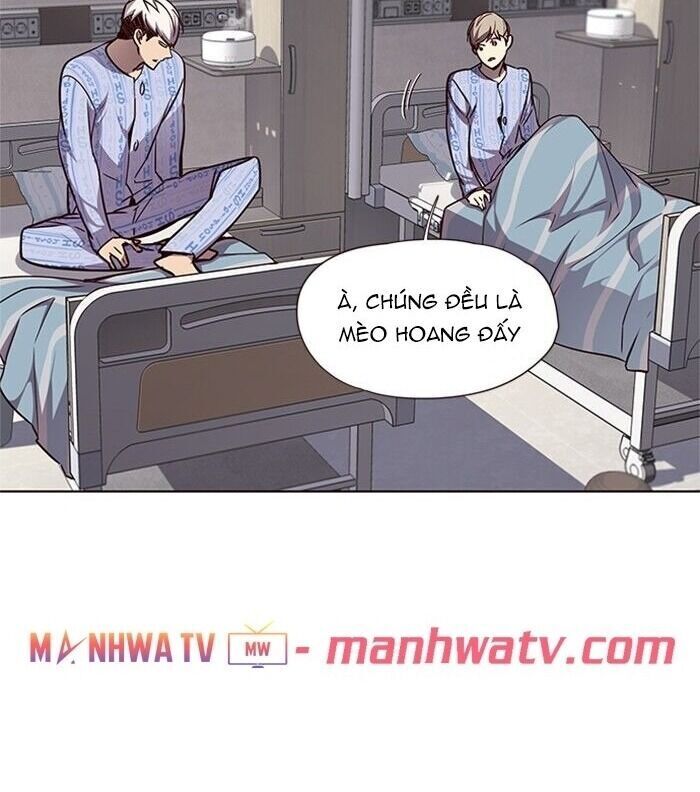 Hóa thân thành mèo chapter 46 - Upload bởi truyensieuhay.com