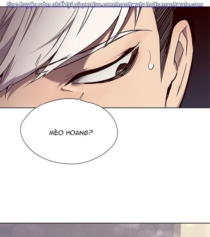 Hóa thân thành mèo chapter 46 - Upload bởi truyensieuhay.com