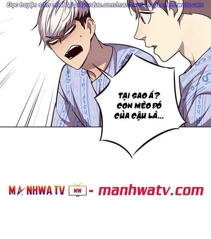 Hóa thân thành mèo chapter 46 - Upload bởi truyensieuhay.com