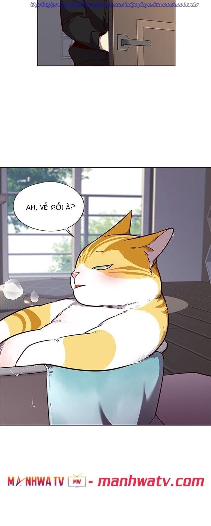 Hóa thân thành mèo chapter 47 - Upload bởi truyensieuhay.com