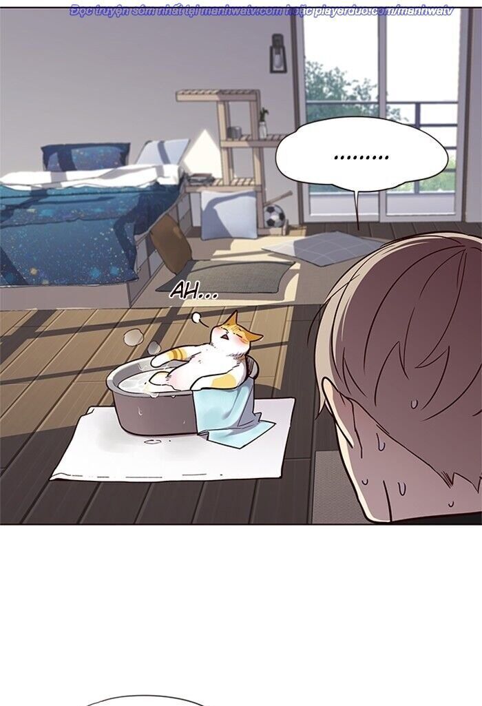 Hóa thân thành mèo chapter 47 - Upload bởi truyensieuhay.com