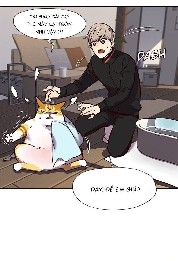 Hóa thân thành mèo chapter 47 - Upload bởi truyensieuhay.com