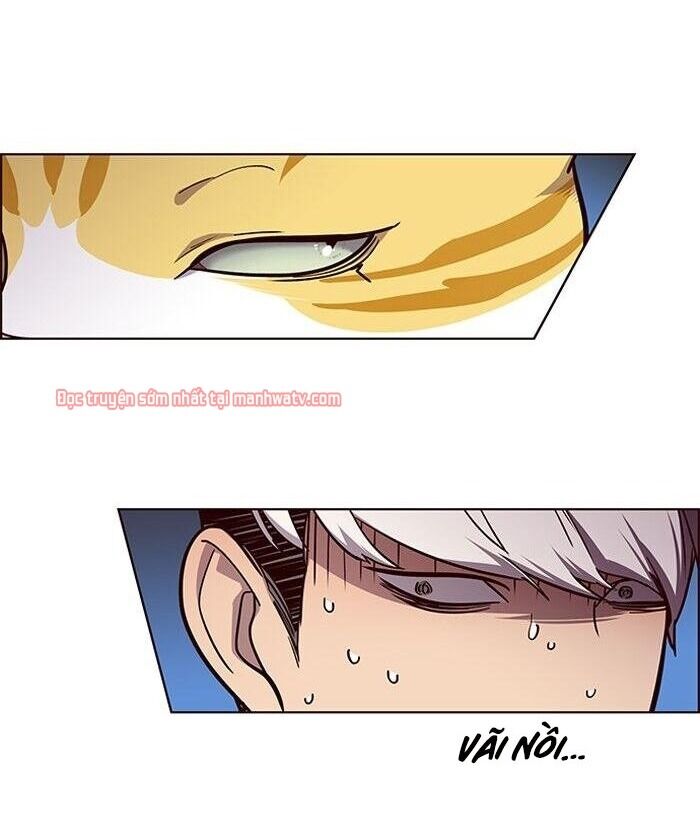 Hóa thân thành mèo chapter 49 - Upload bởi truyensieuhay.com