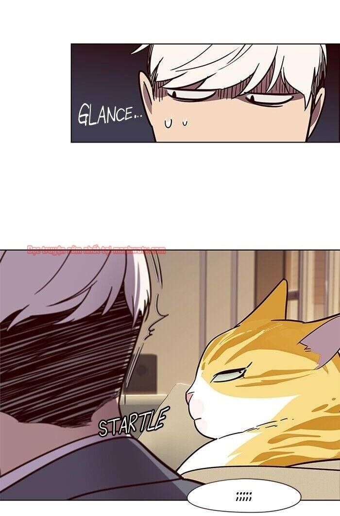 Hóa thân thành mèo chapter 49 - Upload bởi truyensieuhay.com