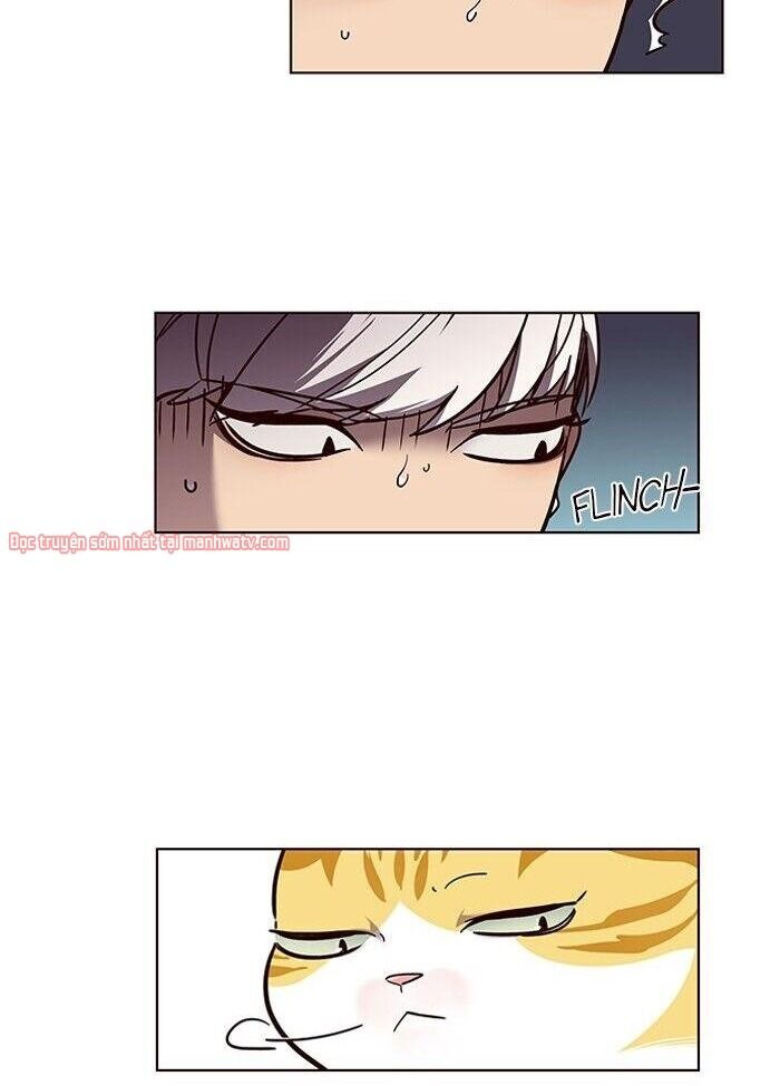 Hóa thân thành mèo chapter 50 - Upload bởi truyensieuhay.com