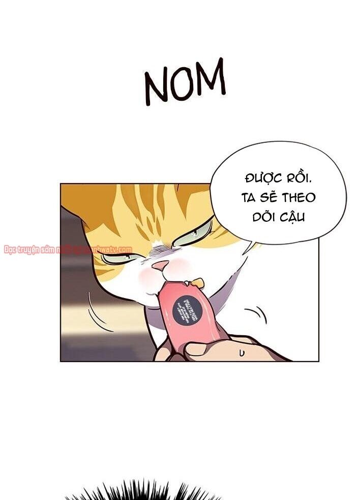 Hóa thân thành mèo chapter 50 - Upload bởi truyensieuhay.com