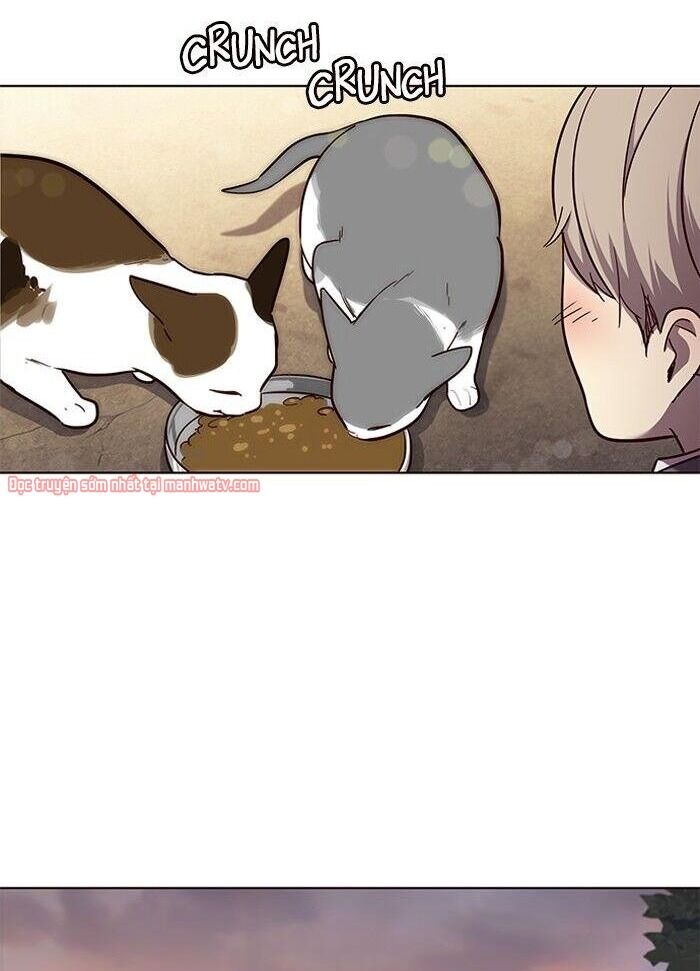 Hóa thân thành mèo chapter 50 - Upload bởi truyensieuhay.com