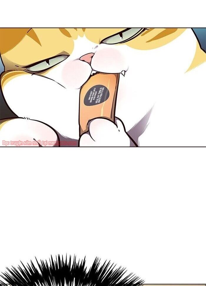 Hóa thân thành mèo chapter 50 - Upload bởi truyensieuhay.com