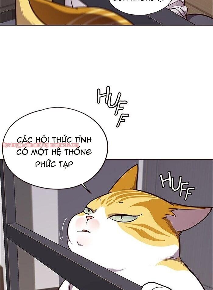 Hóa thân thành mèo chapter 51 - Upload bởi truyensieuhay.com