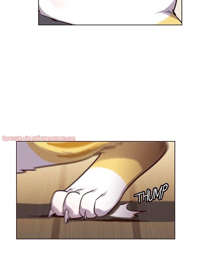 Hóa thân thành mèo chapter 51 - Upload bởi truyensieuhay.com