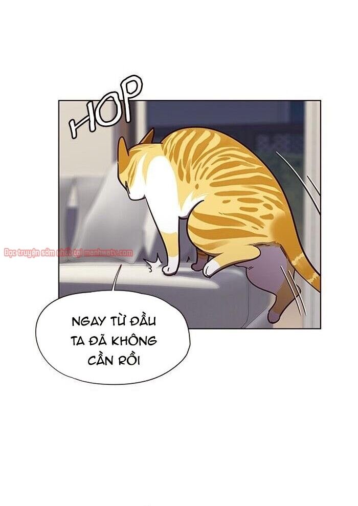 Hóa thân thành mèo chapter 51 - Upload bởi truyensieuhay.com