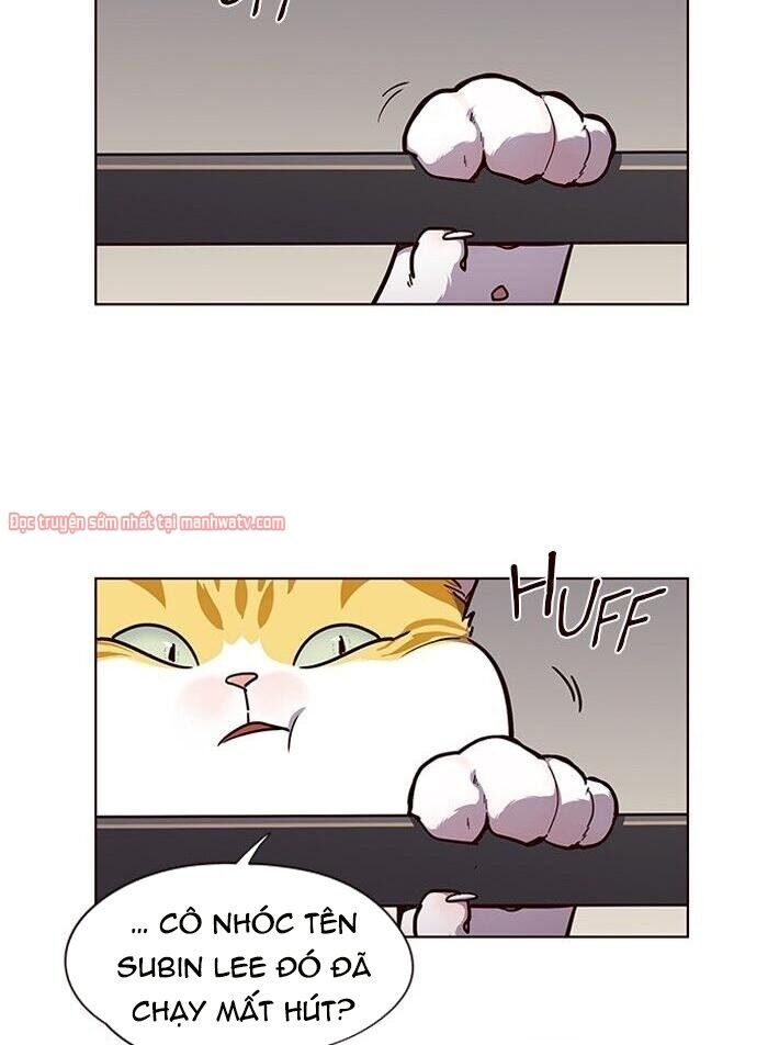 Hóa thân thành mèo chapter 51 - Upload bởi truyensieuhay.com