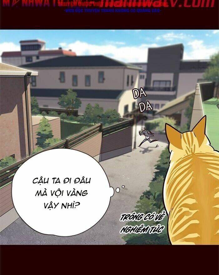Hóa thân thành mèo chapter 52 - Upload bởi truyensieuhay.com