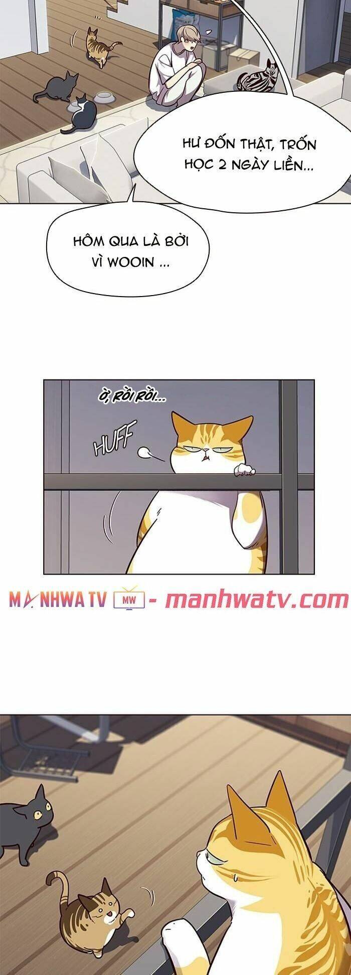 Hóa thân thành mèo chapter 55 - Upload bởi truyensieuhay.com