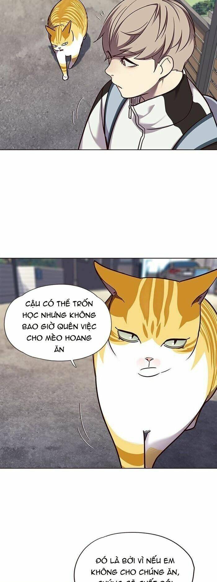 Hóa thân thành mèo chapter 55 - Upload bởi truyensieuhay.com