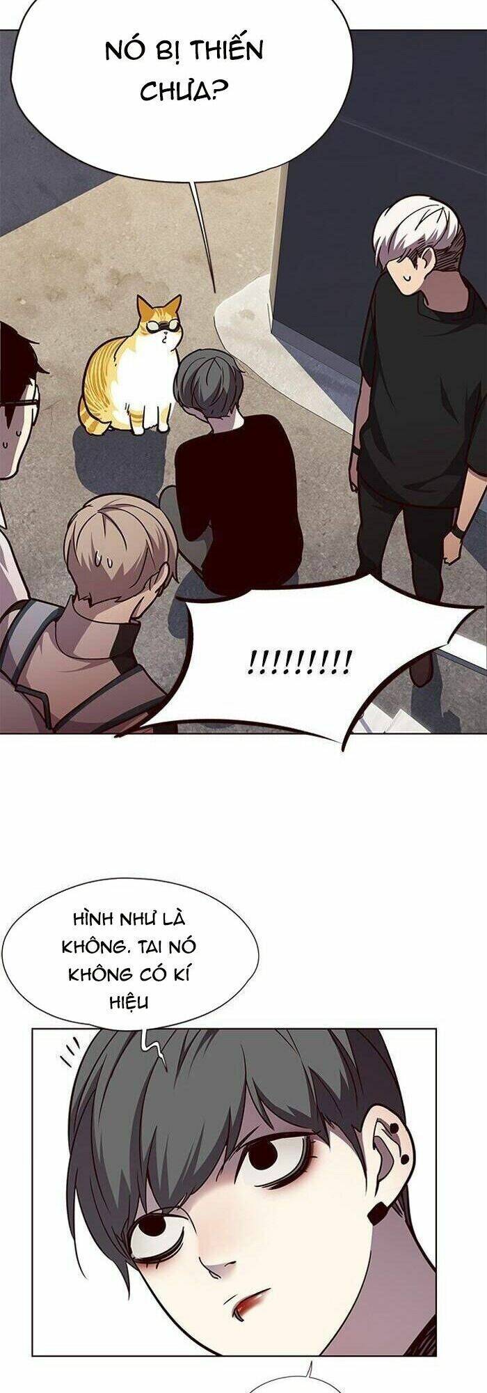 Hóa thân thành mèo chapter 55 - Upload bởi truyensieuhay.com