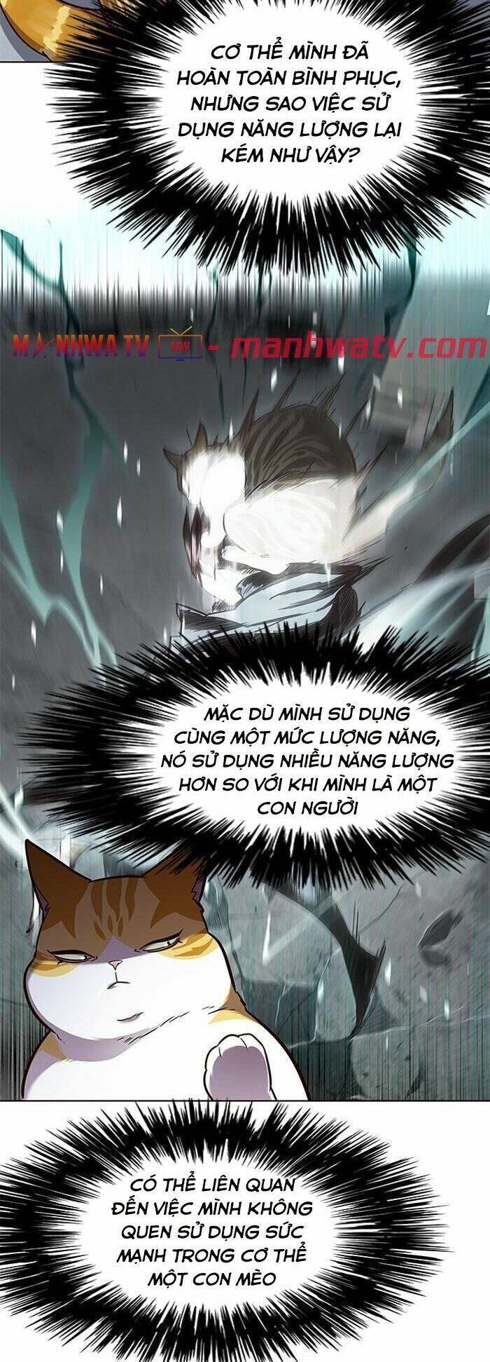 Hóa thân thành mèo chapter 55 - Upload bởi truyensieuhay.com