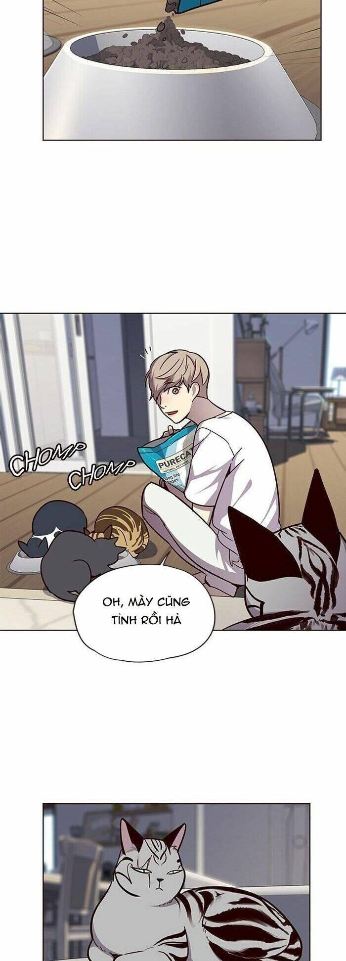 Hóa thân thành mèo chapter 55 - Upload bởi truyensieuhay.com