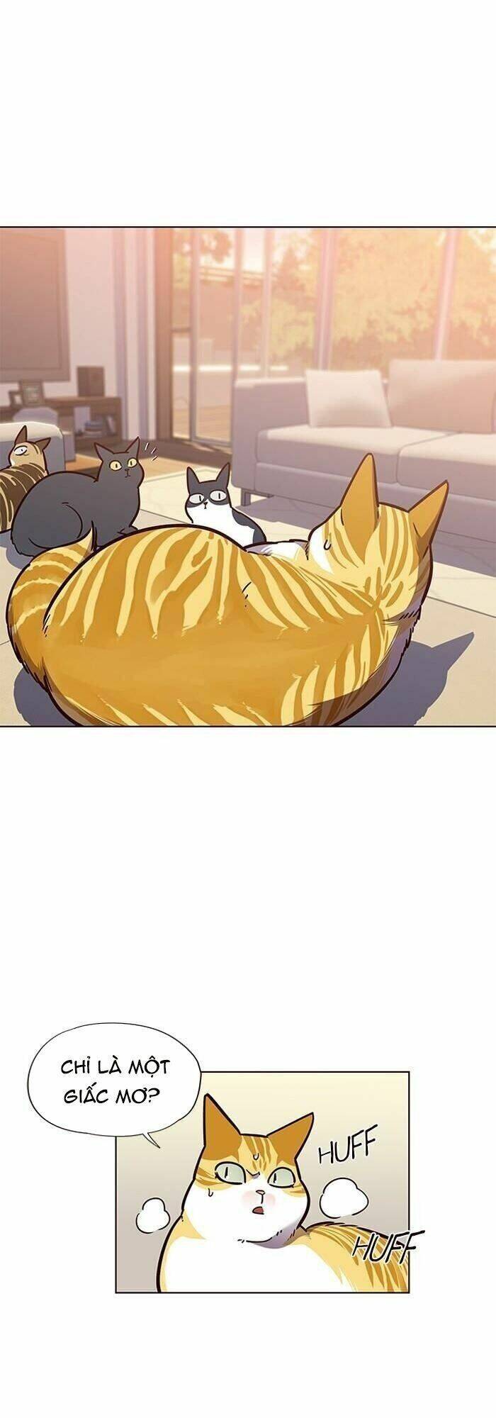 Hóa thân thành mèo chapter 56 - Upload bởi truyensieuhay.com