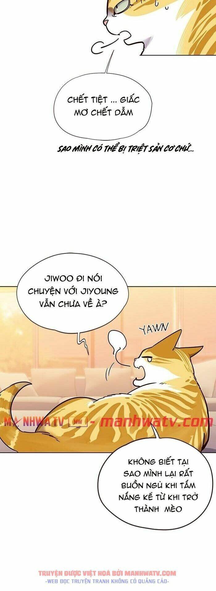 Hóa thân thành mèo chapter 56 - Upload bởi truyensieuhay.com