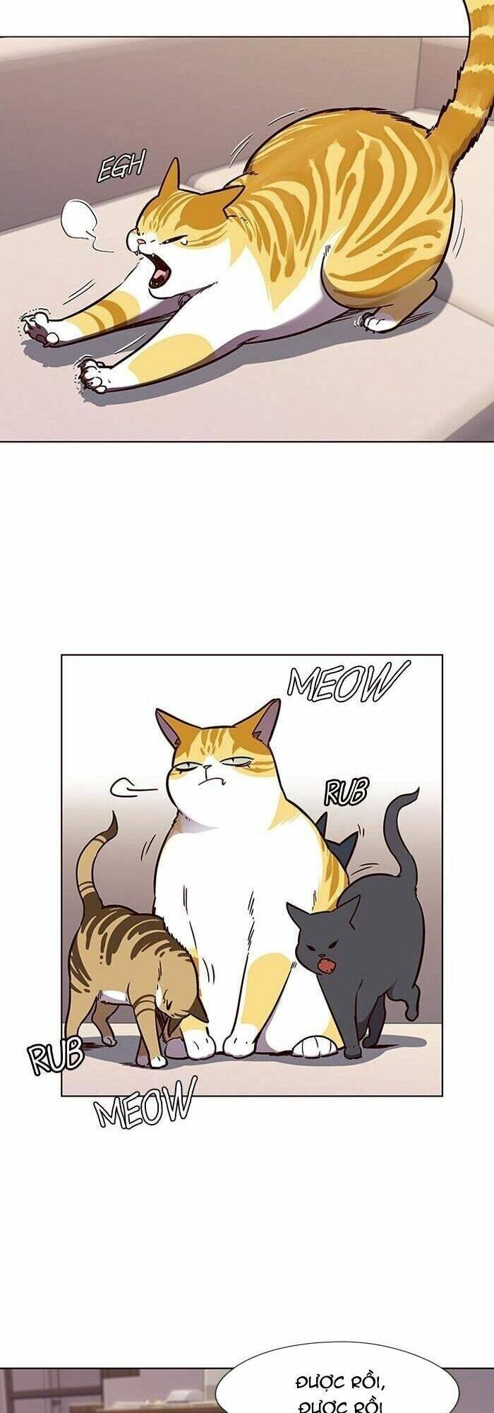 Hóa thân thành mèo chapter 56 - Upload bởi truyensieuhay.com