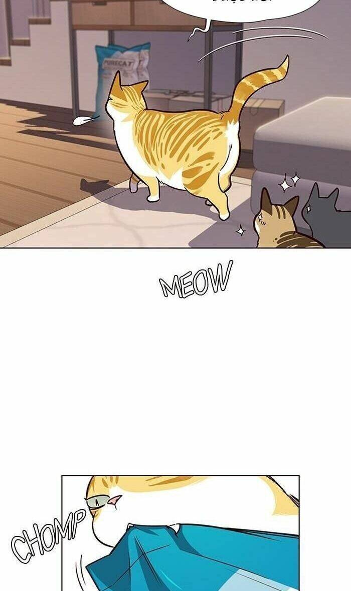 Hóa thân thành mèo chapter 56 - Upload bởi truyensieuhay.com