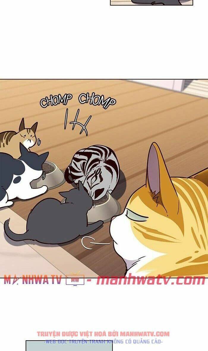 Hóa thân thành mèo chapter 56 - Upload bởi truyensieuhay.com
