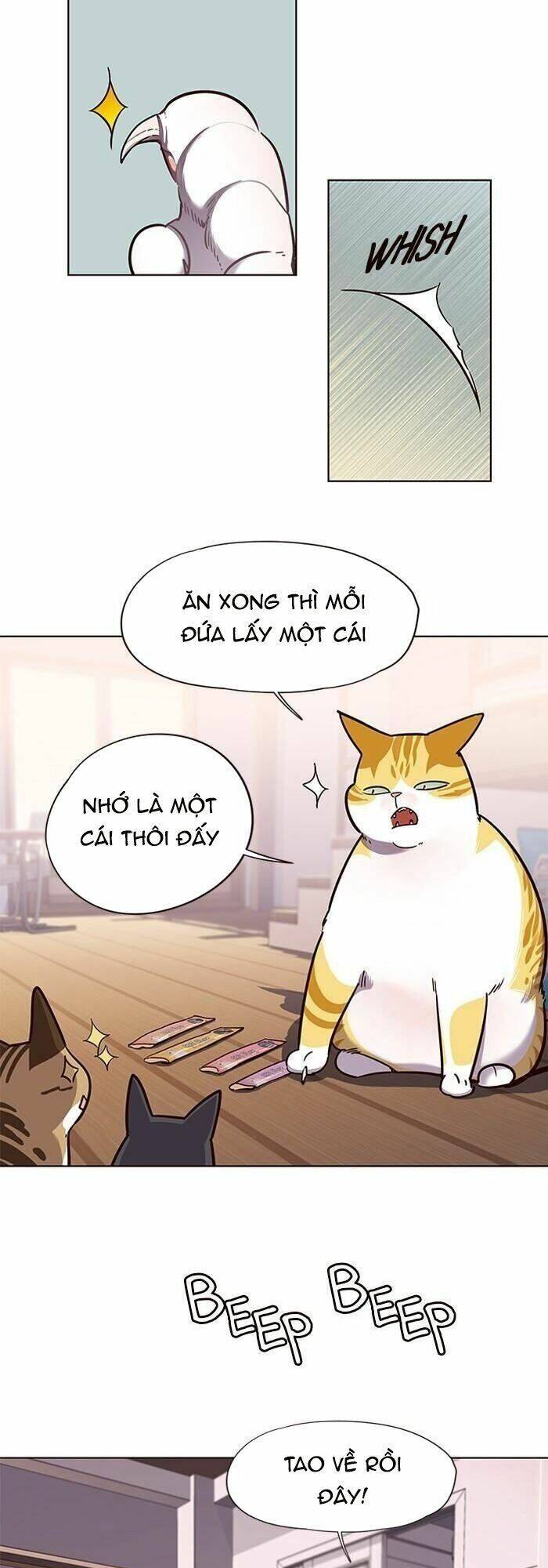 Hóa thân thành mèo chapter 56 - Upload bởi truyensieuhay.com