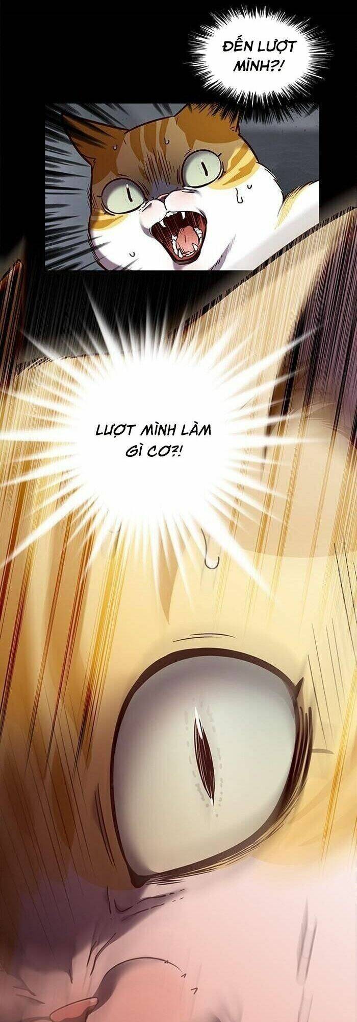Hóa thân thành mèo chapter 56 - Upload bởi truyensieuhay.com