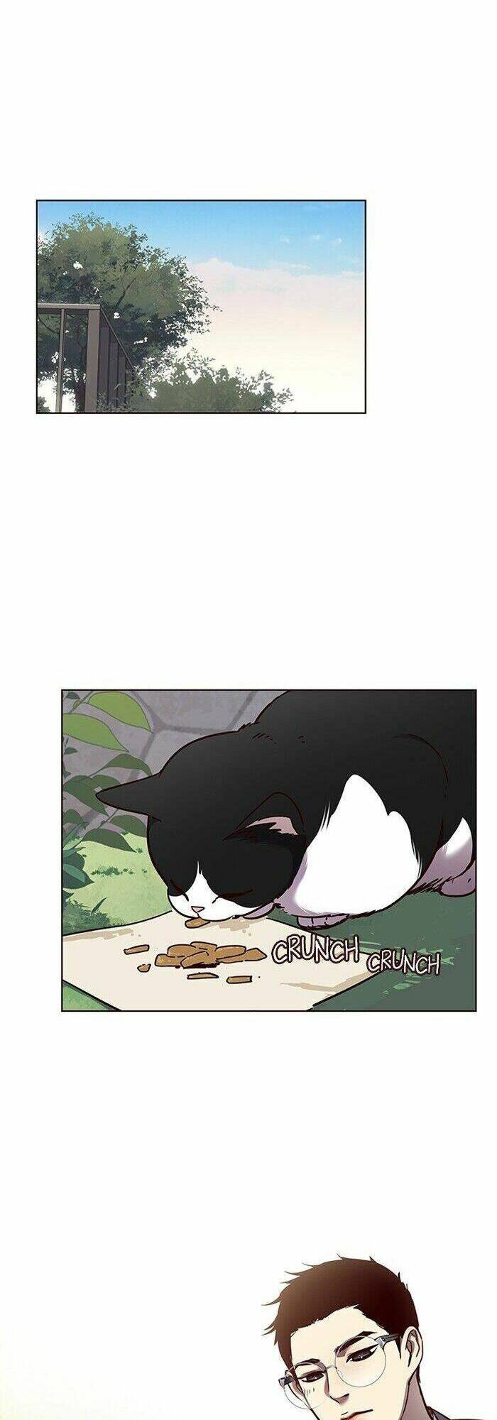 Hóa thân thành mèo chapter 57 - Upload bởi truyensieuhay.com