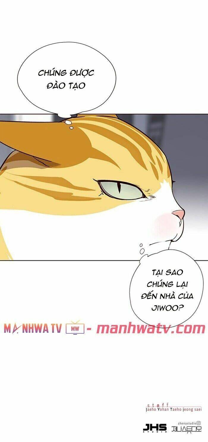 Hóa thân thành mèo chapter 57 - Upload bởi truyensieuhay.com