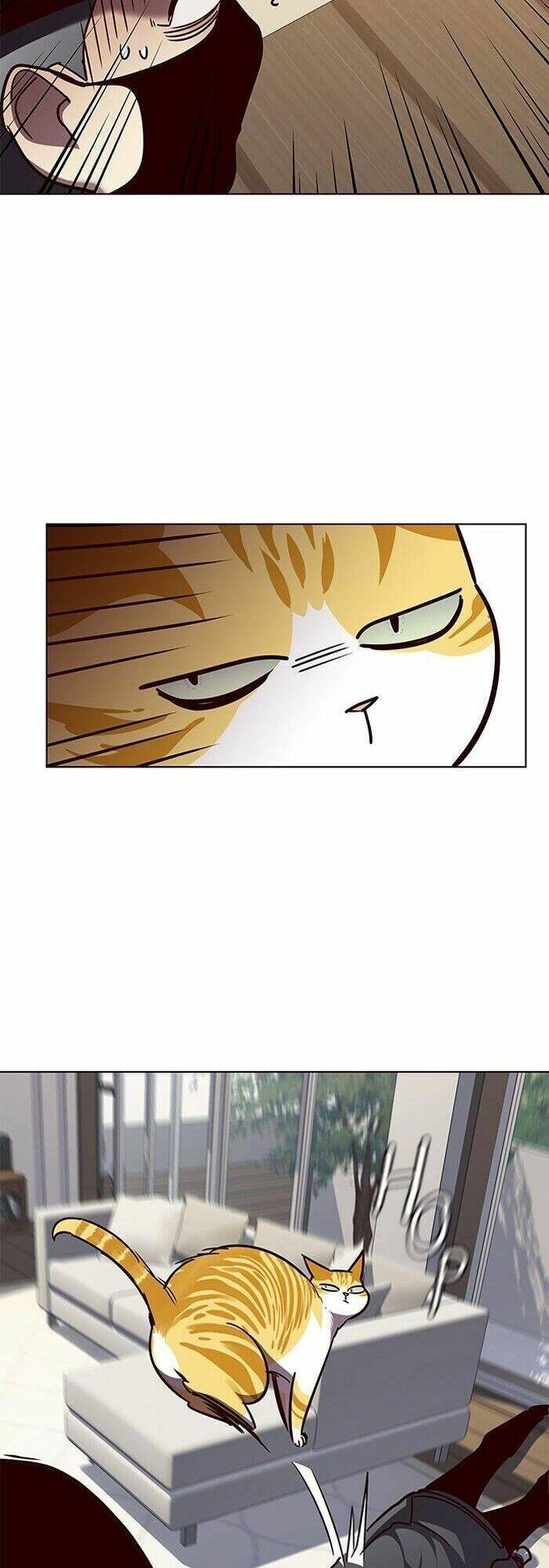 Hóa thân thành mèo chapter 58 - Upload bởi truyensieuhay.com