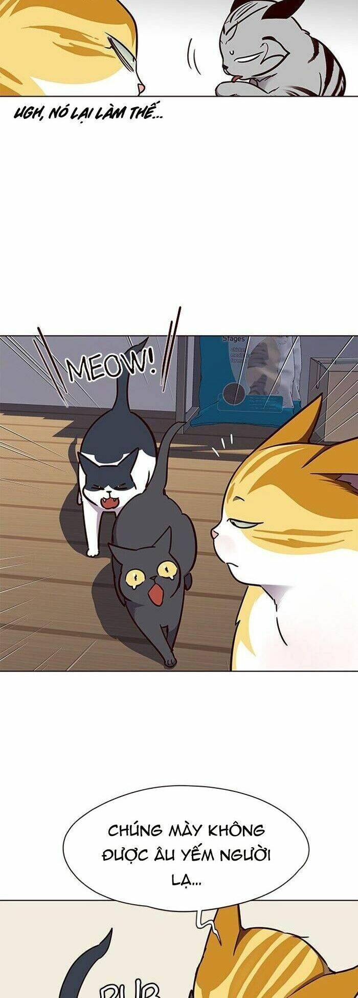 Hóa thân thành mèo chapter 58 - Upload bởi truyensieuhay.com