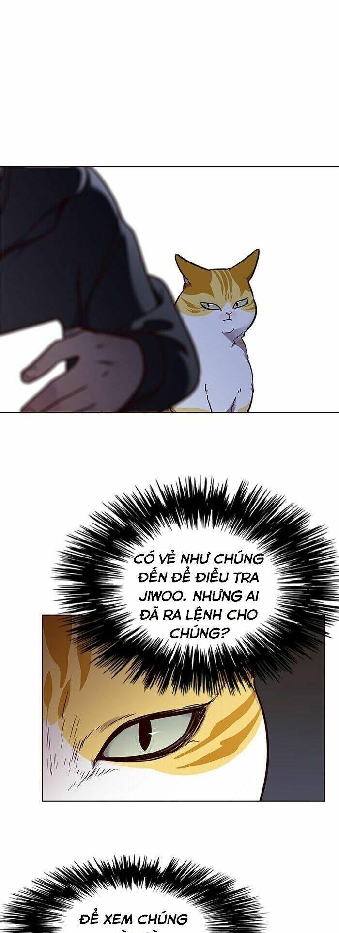 Hóa thân thành mèo chapter 58 - Upload bởi truyensieuhay.com