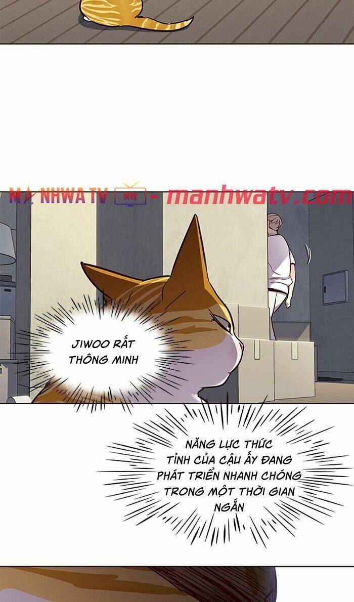 Hóa thân thành mèo chapter 59 - Upload bởi truyensieuhay.com