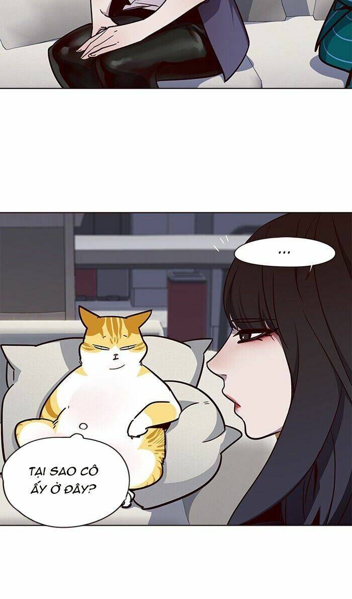 Hóa thân thành mèo chapter 59 - Upload bởi truyensieuhay.com