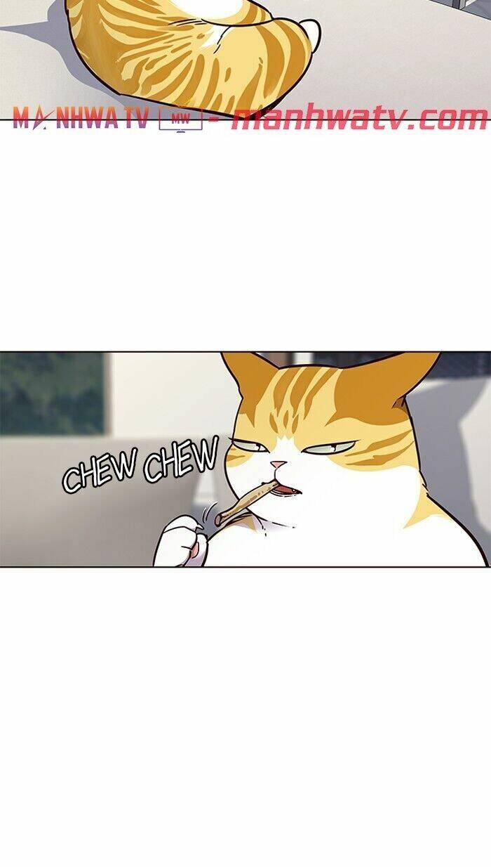 Hóa thân thành mèo chapter 60 - Upload bởi truyensieuhay.com