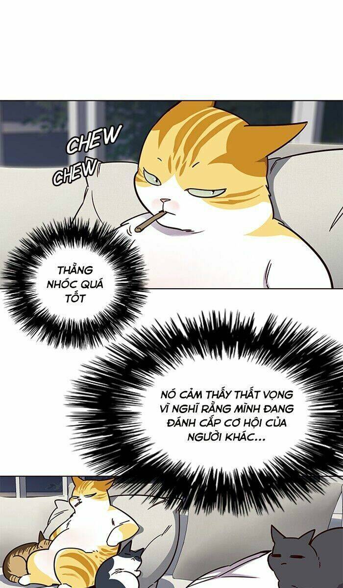 Hóa thân thành mèo chapter 61 - Upload bởi truyensieuhay.com