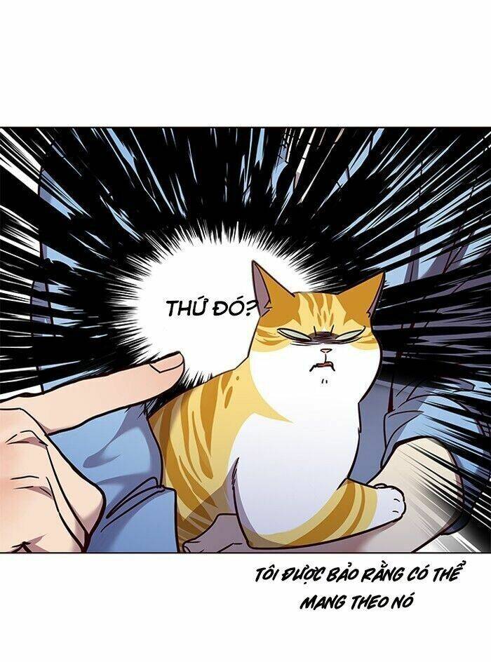 Hóa thân thành mèo chapter 62 - Upload bởi truyensieuhay.com