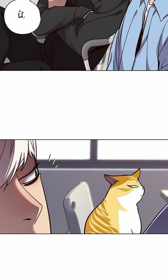 Hóa thân thành mèo chapter 62 - Upload bởi truyensieuhay.com