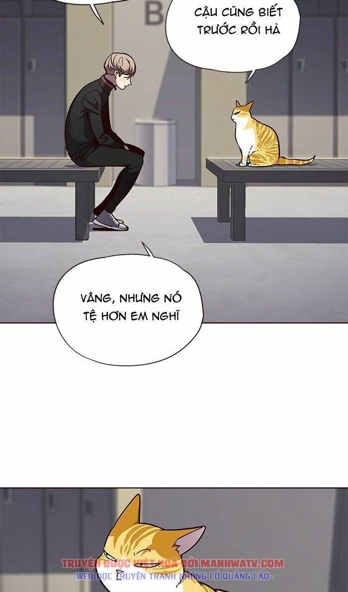 Hóa thân thành mèo chapter 63 - Upload bởi truyensieuhay.com