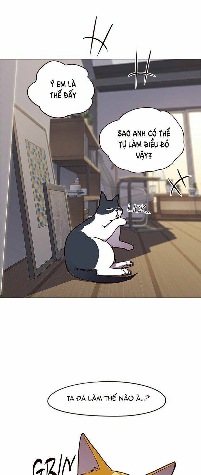 Hóa thân thành mèo chapter 64 - Upload bởi truyensieuhay.com
