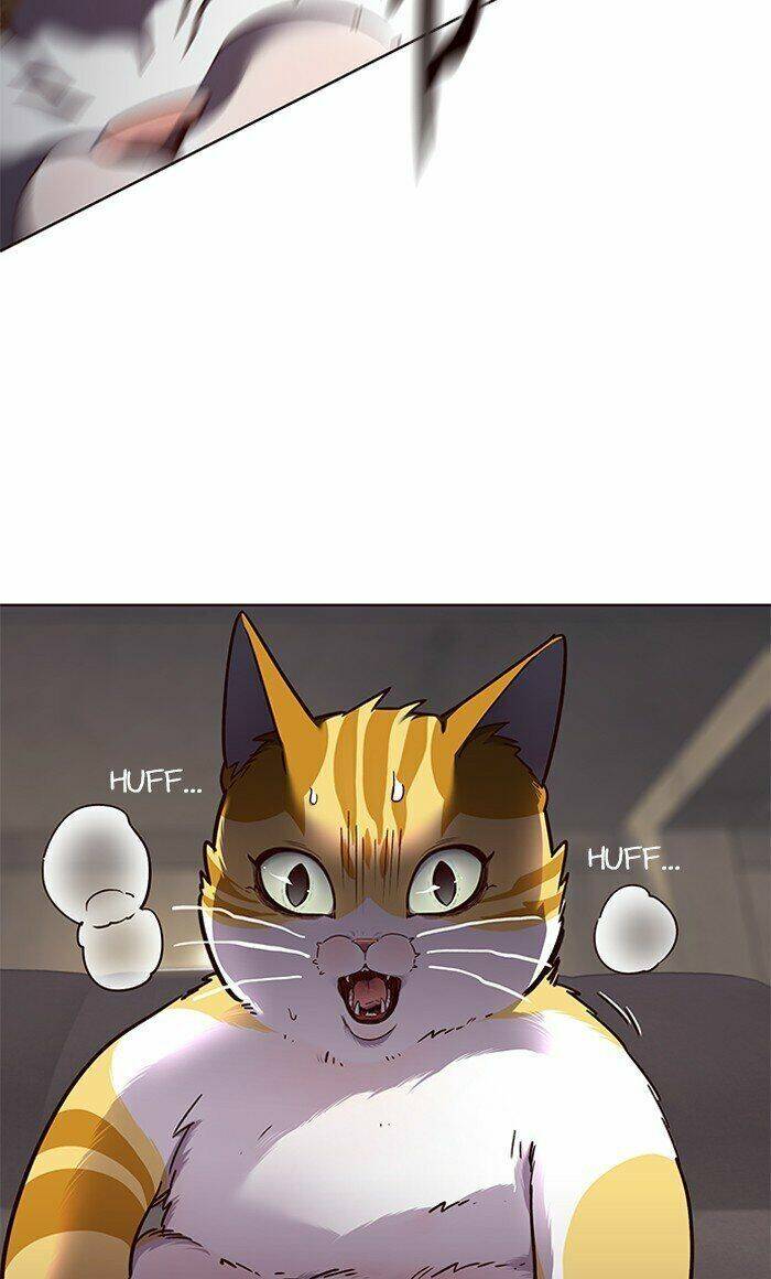 Hóa thân thành mèo chapter 65 - Upload bởi truyensieuhay.com